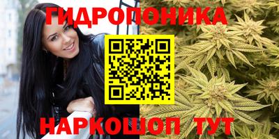 каннабис Кингисепп