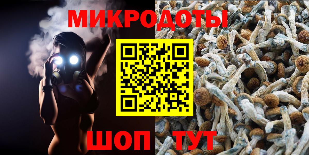 Вологда  Галлюциногенные грибы MAGIC MUSHROOMS  Псилоцибиновые грибы Psilocybine cubensis  Вход с VPN 