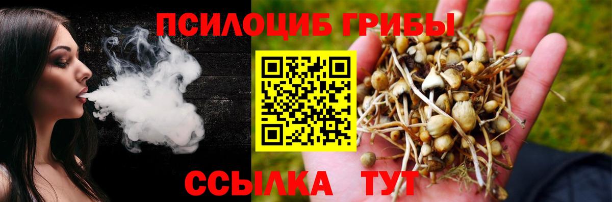 Псилоцибиновые грибы прущие грибы Вологда